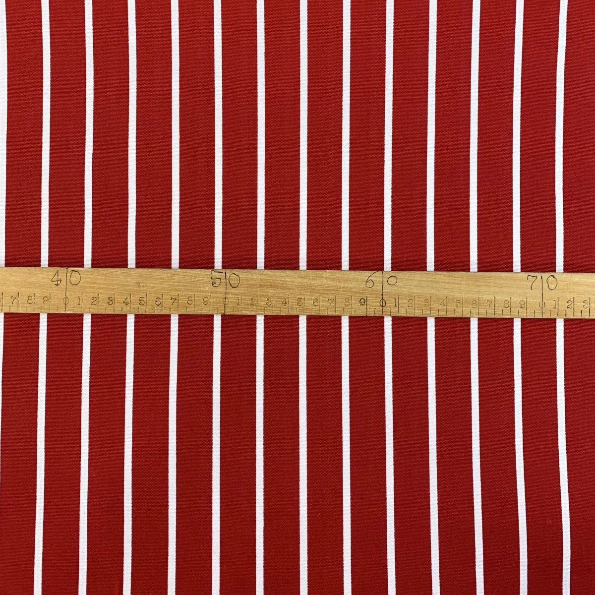 Canvas - Bone - Red 5 Canvas - Bone - Red - Image 3