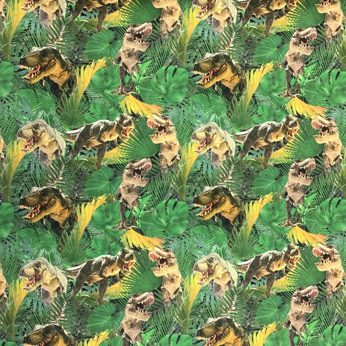 Digitally Printed French Terry - Dino Vally 4 Digitally Printed French Terry - Dino Vally - Image 2