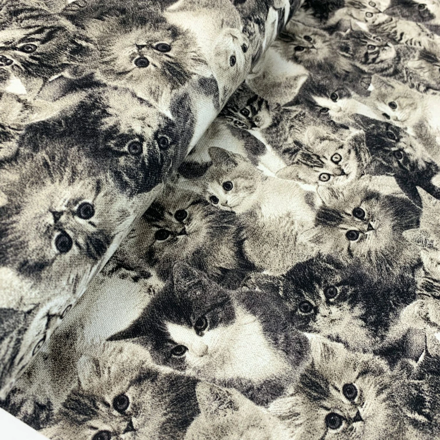 John Louden Canvas - Cats 3 John Louden Canvas - Cats