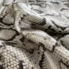 Nagini 2 Nagini -Croft Mill Store nagini viscose snake skin print dress fabric cu
