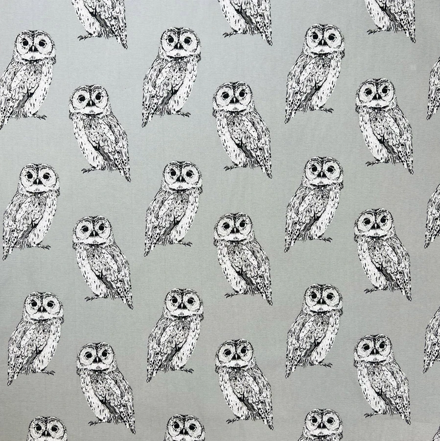 Canvas Print - Barny