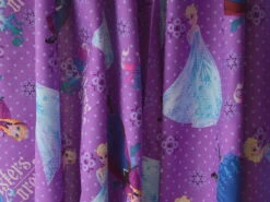 Springs Creative - Frozen Sisters Forever 10 Springs Creative - Frozen Sisters Forever -Croft Mill Store spring creative frozen sisters forever d