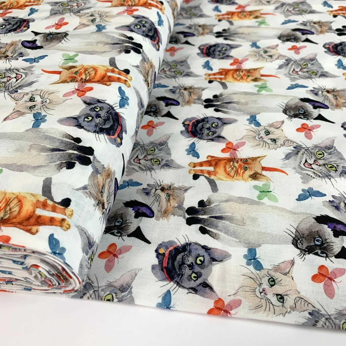 Cotton - Cats 4 Cotton - Cats - Image 2