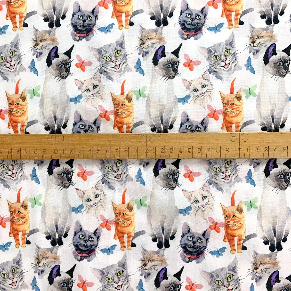 Cotton - Cats 5 Cotton - Cats - Image 3